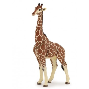 Girafe mâle - Papo